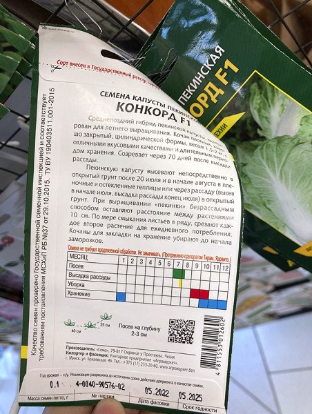 капуста пекинская Конкорд F1